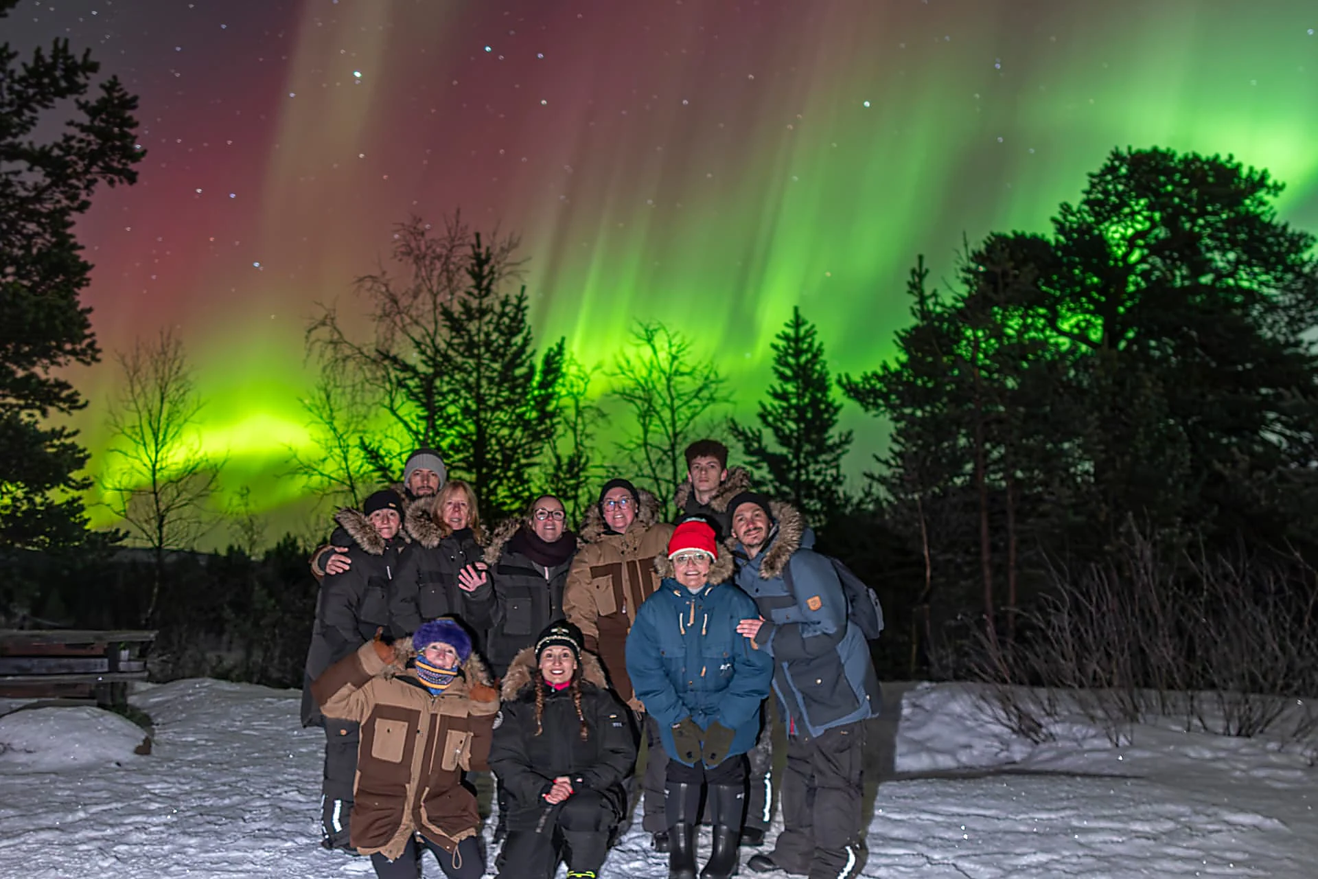 Eleven guests in winter overalls, one in a red hat and one in a purple fur hat, standing and crouching on packed snow among birch and spruce under a strong green aurora with a red and magenta band overhead