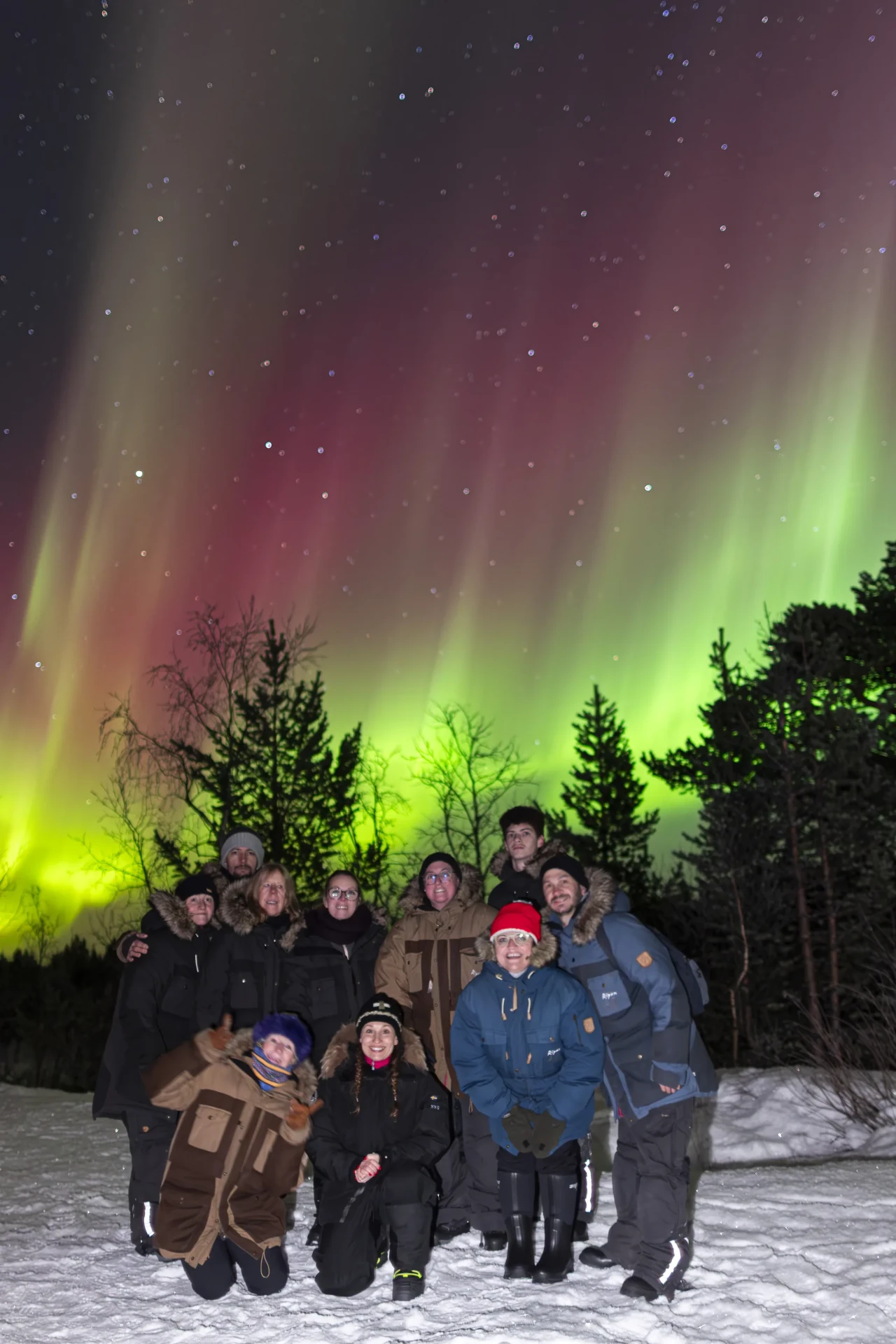 Group of guests under a vivid pink and green aurora