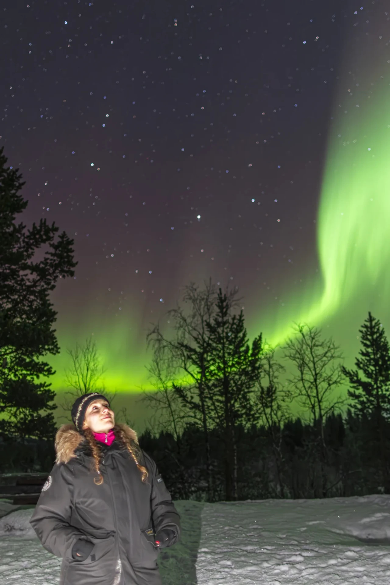 Guest in a winter parka looking up at the northern lights