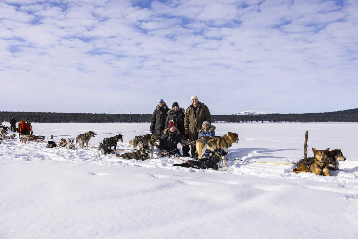 Guests and sled dogs resting on an open snowy plain
