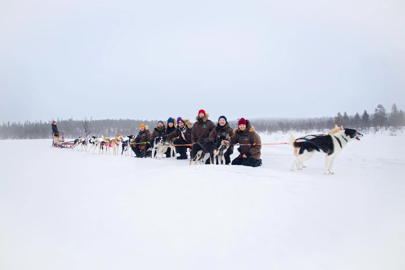 A line of sled dog teams on a snowy plain