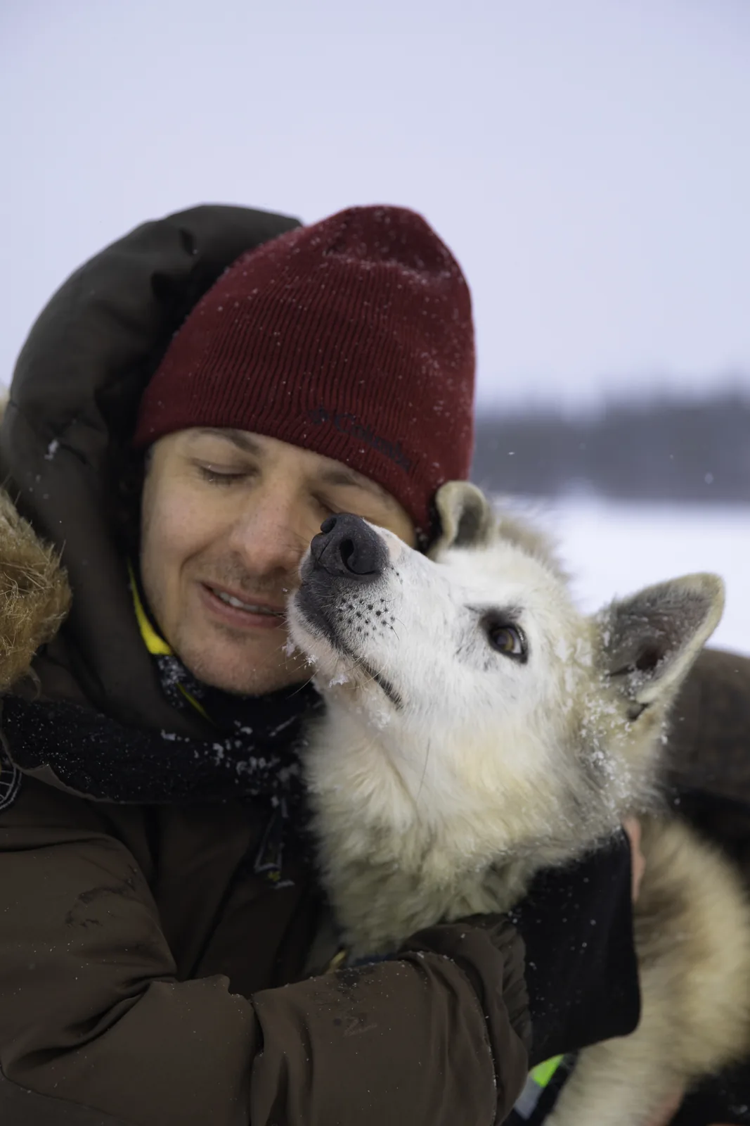 A guest cheek to cheek with a husky after dog sledding