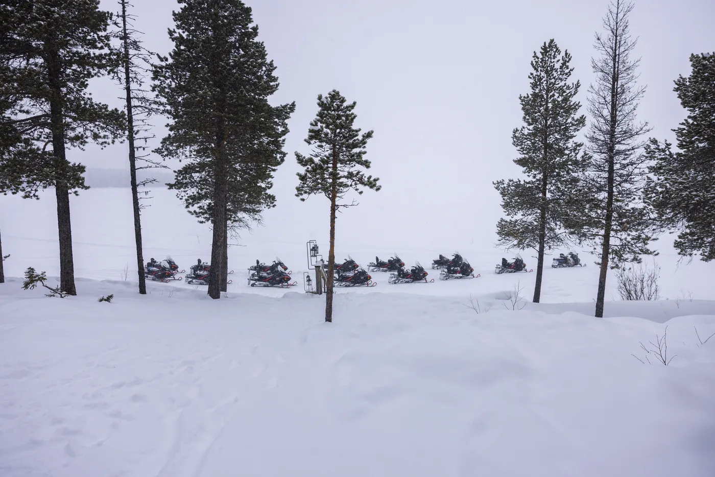 Snowmobiles parked among snow-covered pines