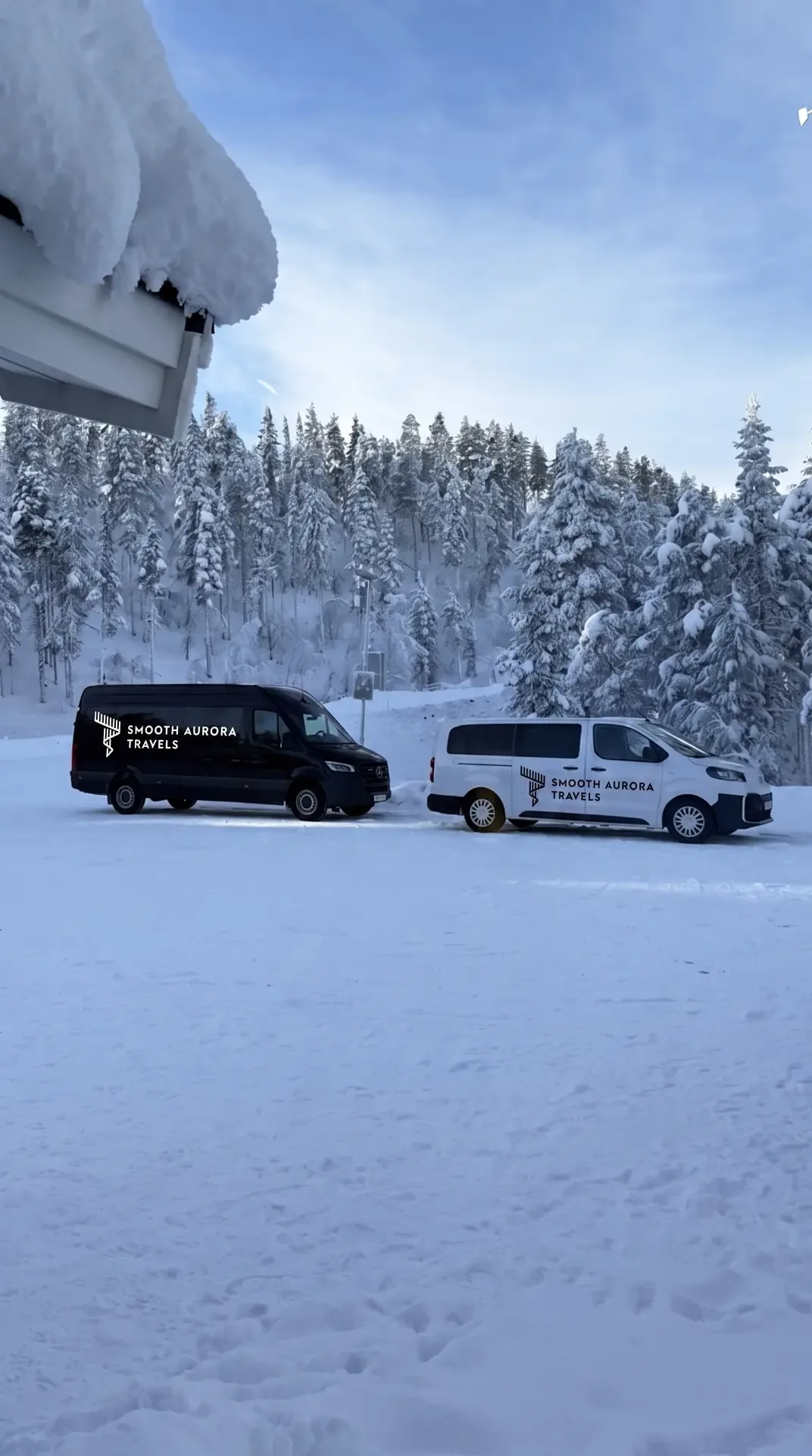 Our branded Smooth Aurora Travels minibuses parked in the snow by the forest
