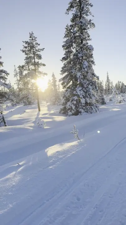 Snowmobiles moving across the snow outside Kiruna